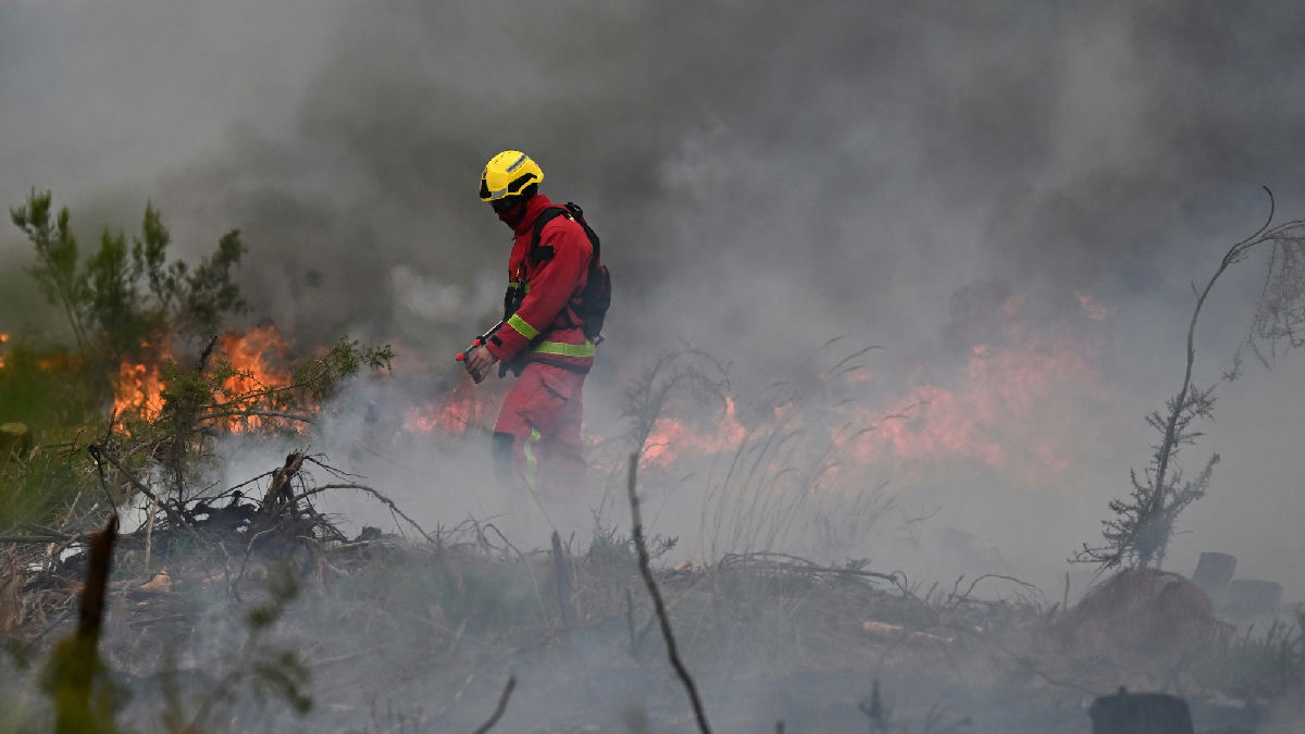 Foto: Clarín