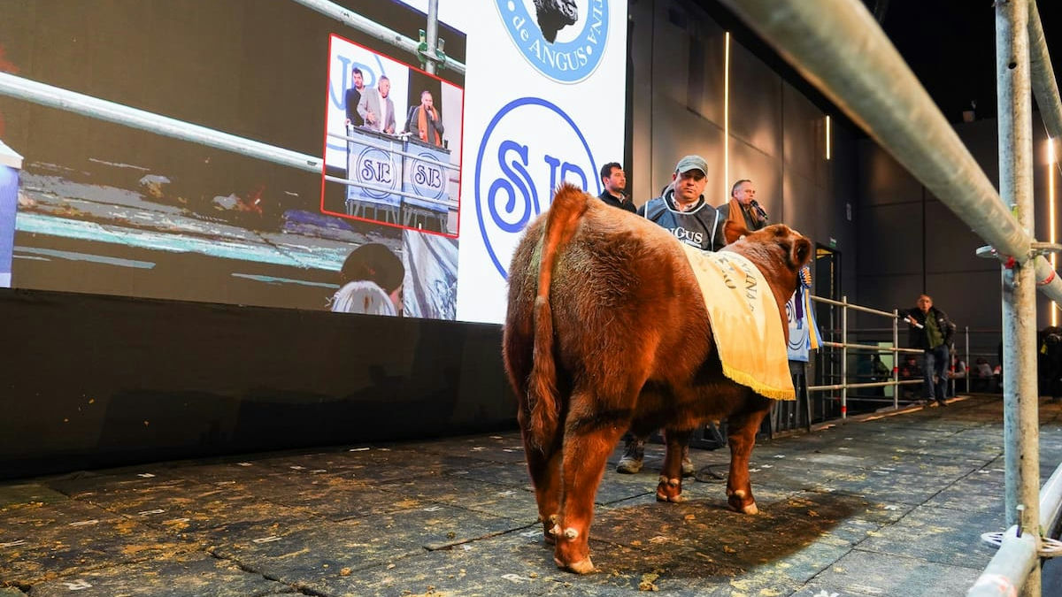 Foto: La Nación