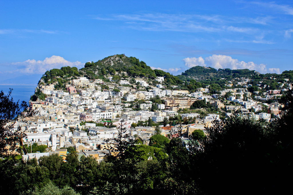 Wikipedia / Capri (es)