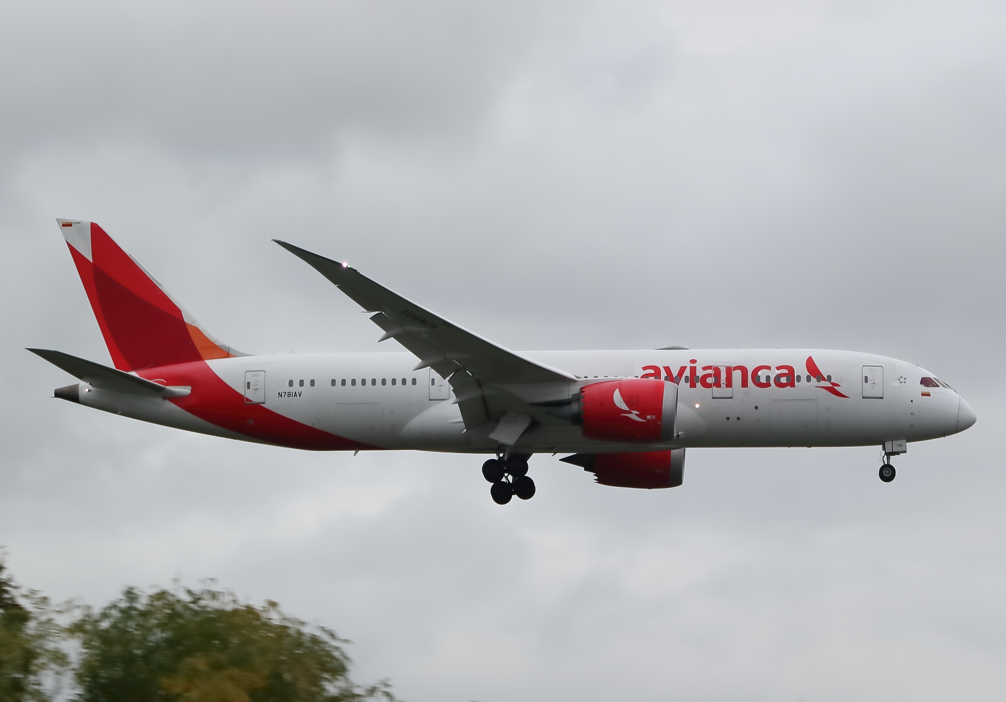 Wikipedia / Avianca (es)