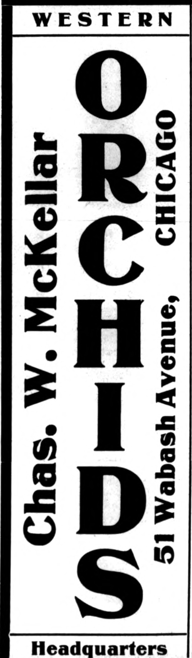 Internet Archive Book Images / No restrictions (via Wikimedia Commons)