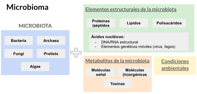 Wikipedia / Microbioma (es)