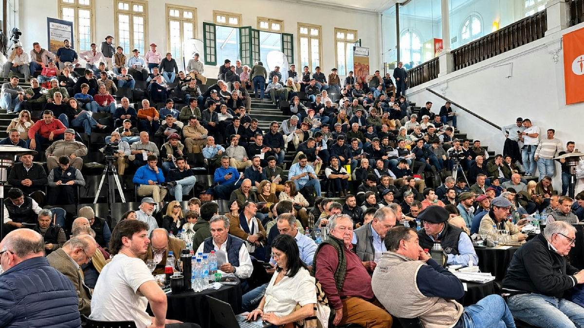 Foto: Clarín