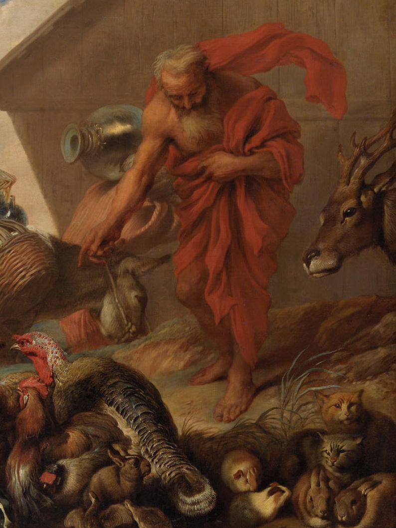 Wikipedia / Noah (en)