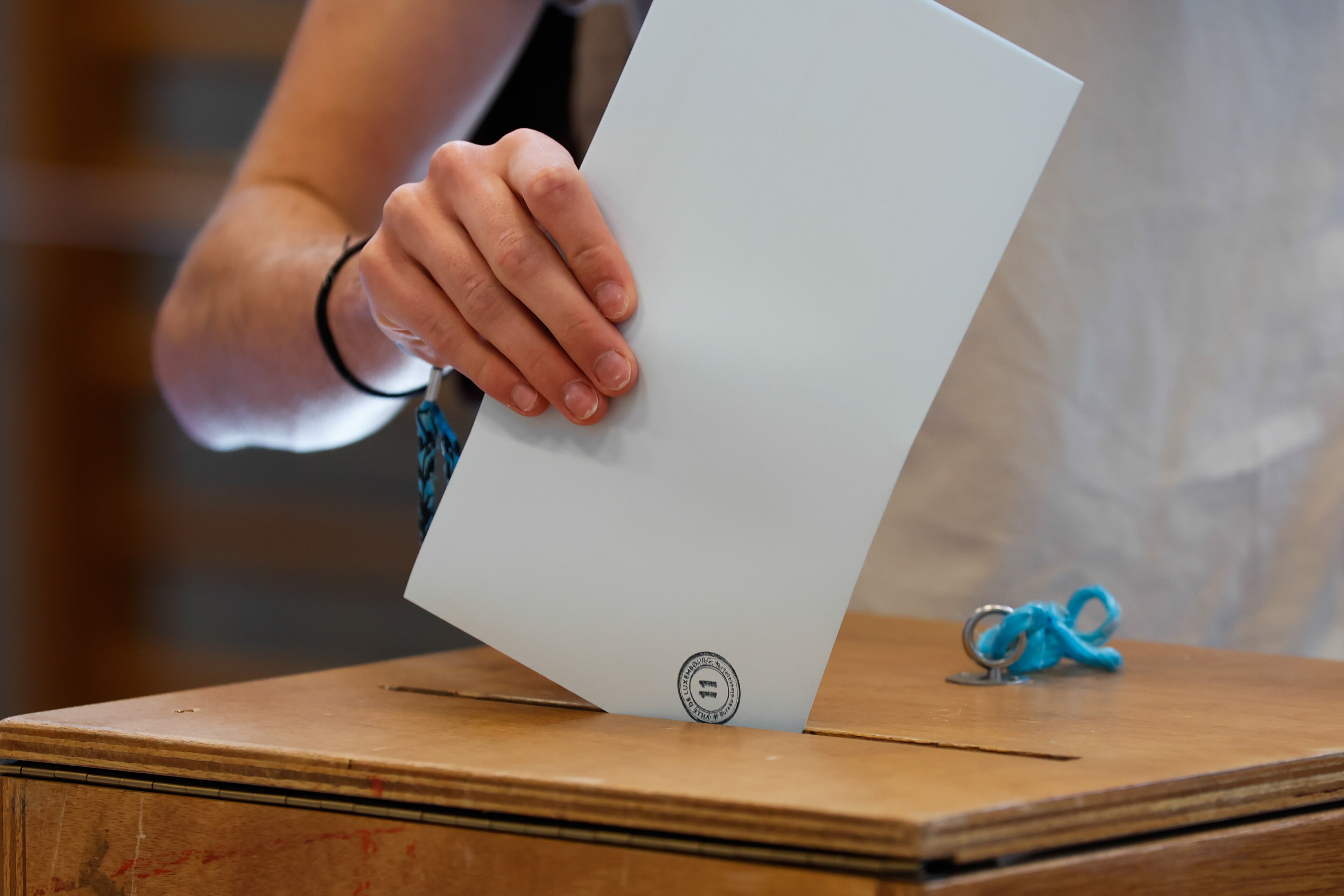 Wikipedia / Elecciones (es)