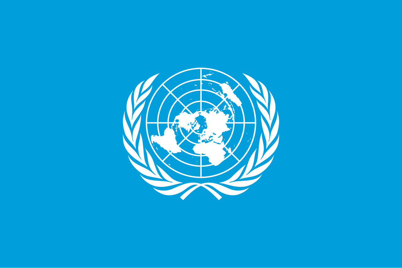Wikipedia / Organización de las Naciones Unidas (es)