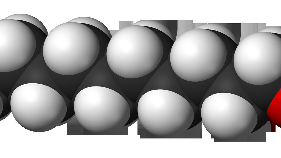 Wikipedia / 1-Decanol (en)