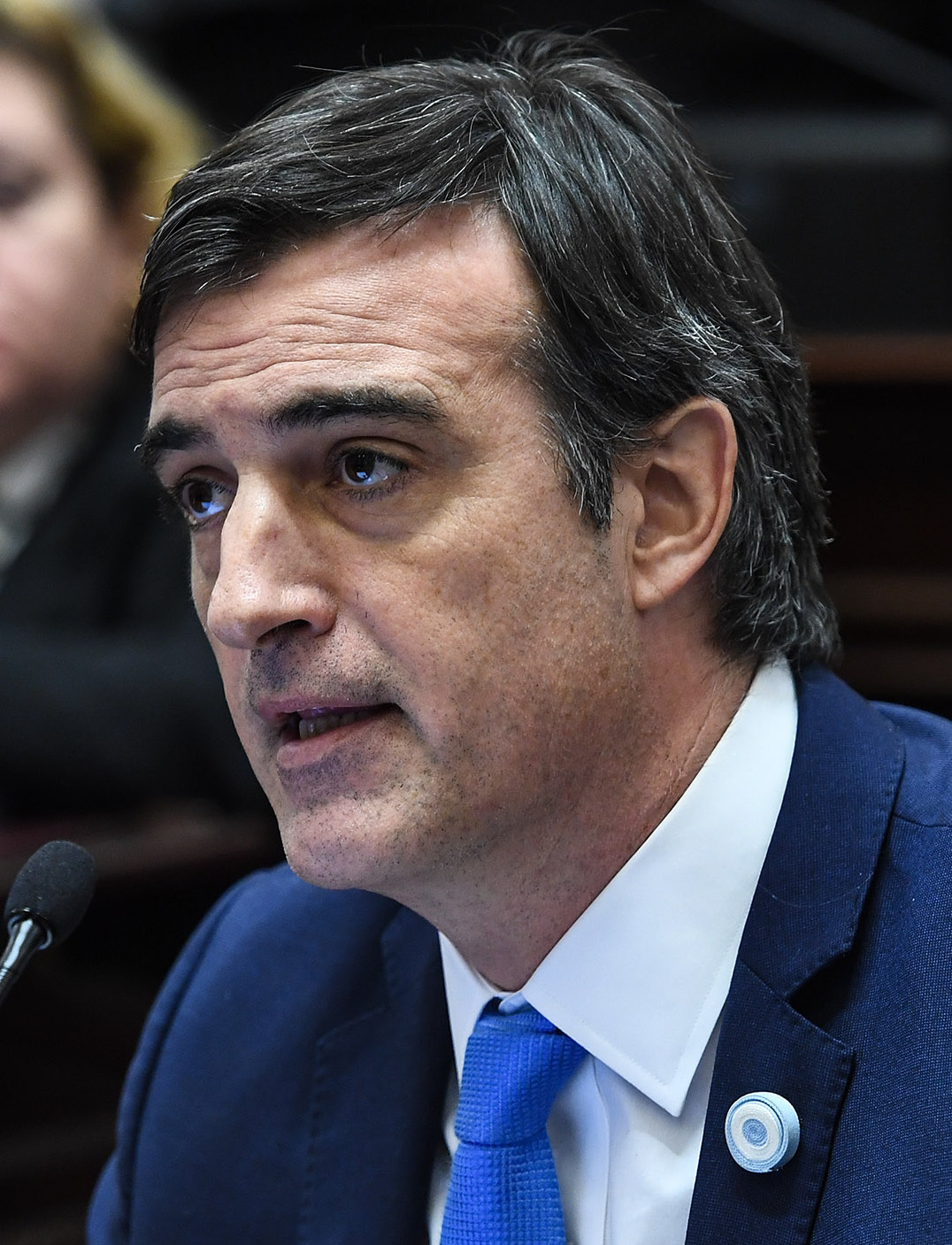 Wikipedia / Esteban Bullrich (es)