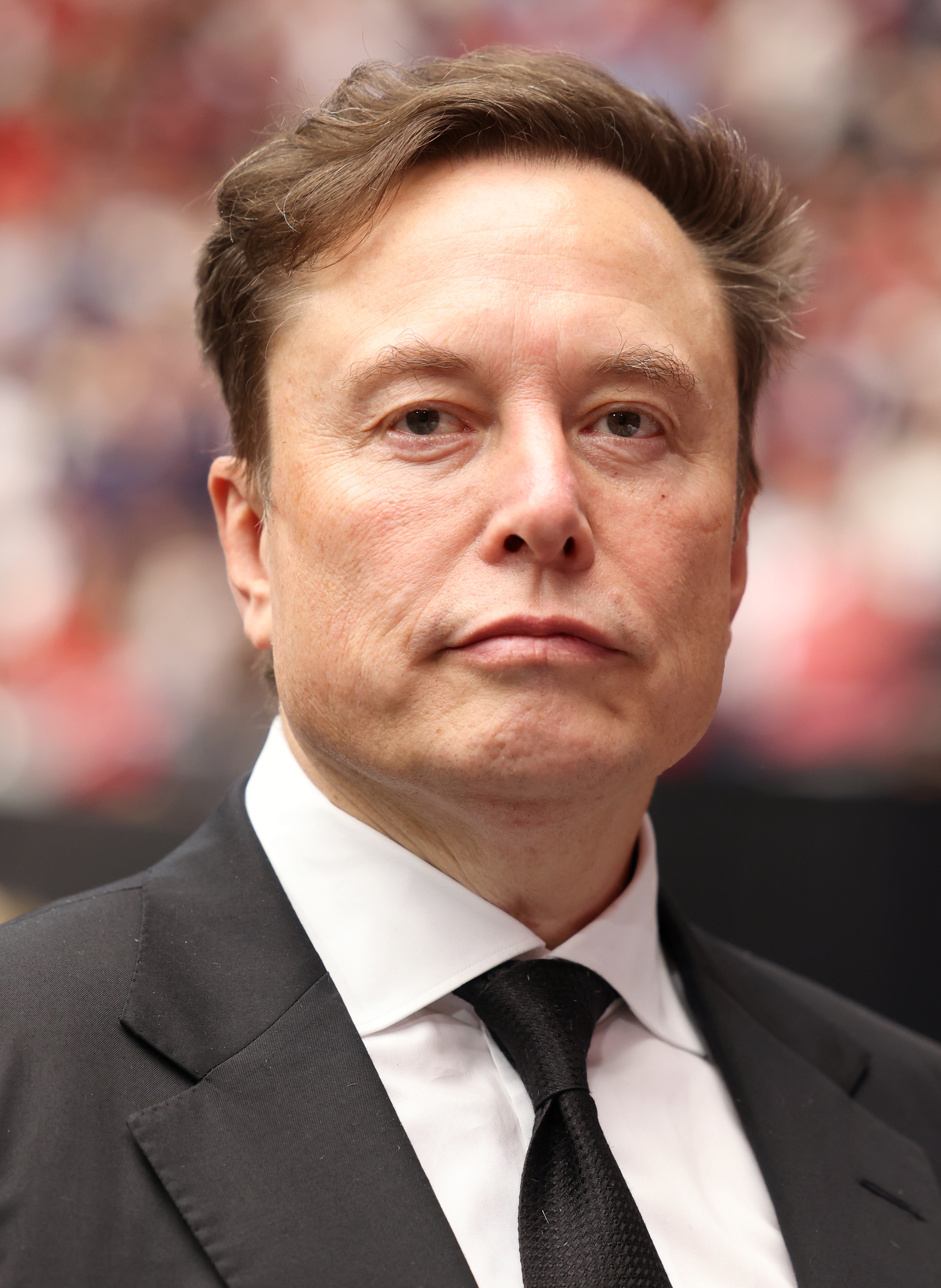 Wikipedia / Elon Musk (es)