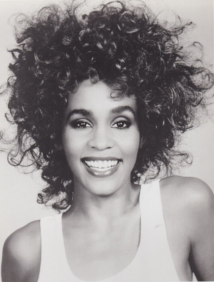 Wikipedia / Whitney Houston (es)