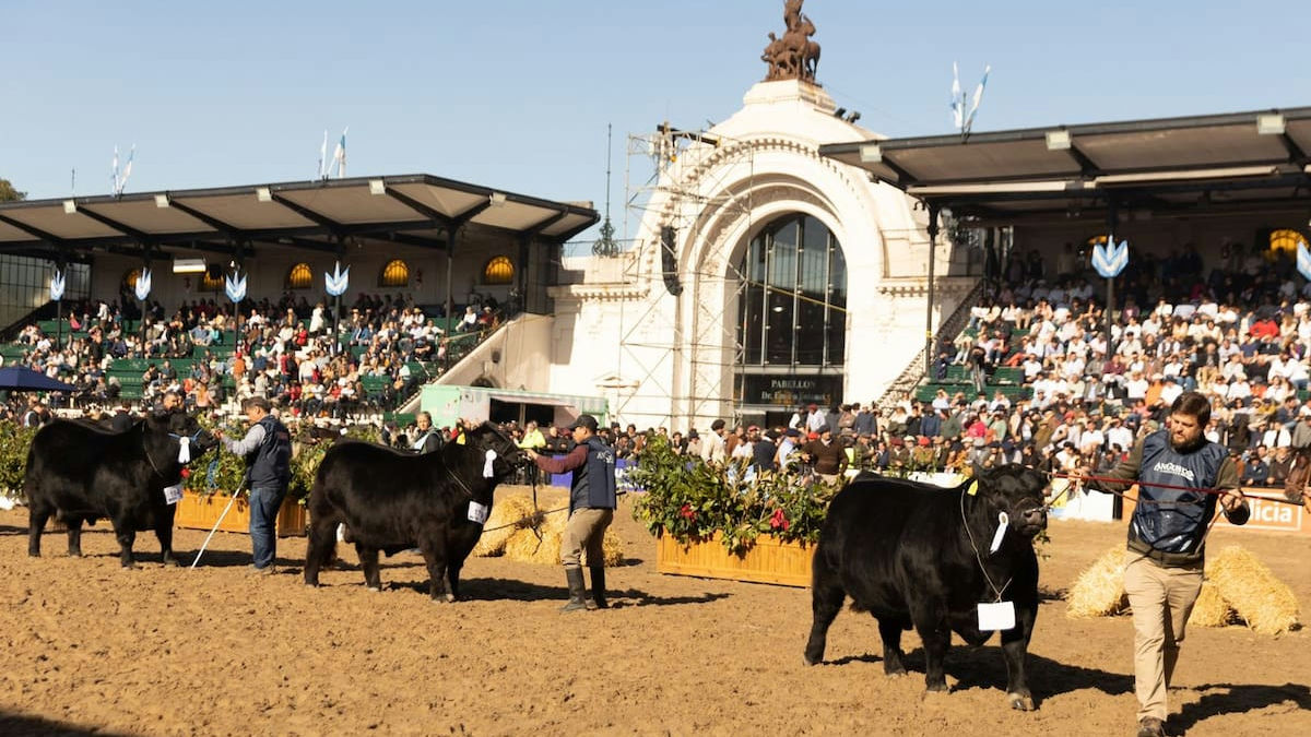 Expo Rural de Palermo inicia su 138ª edición con foco en genética y financiamiento agropecuario