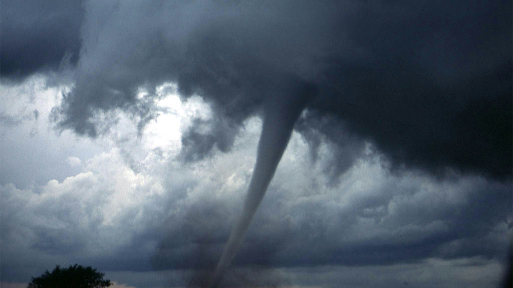 Wikipedia / Tornado (es)