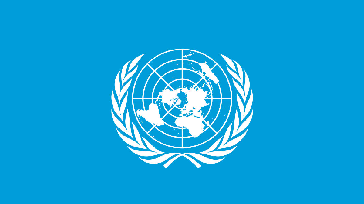 Wikipedia / Organización de las Naciones Unidas (es)