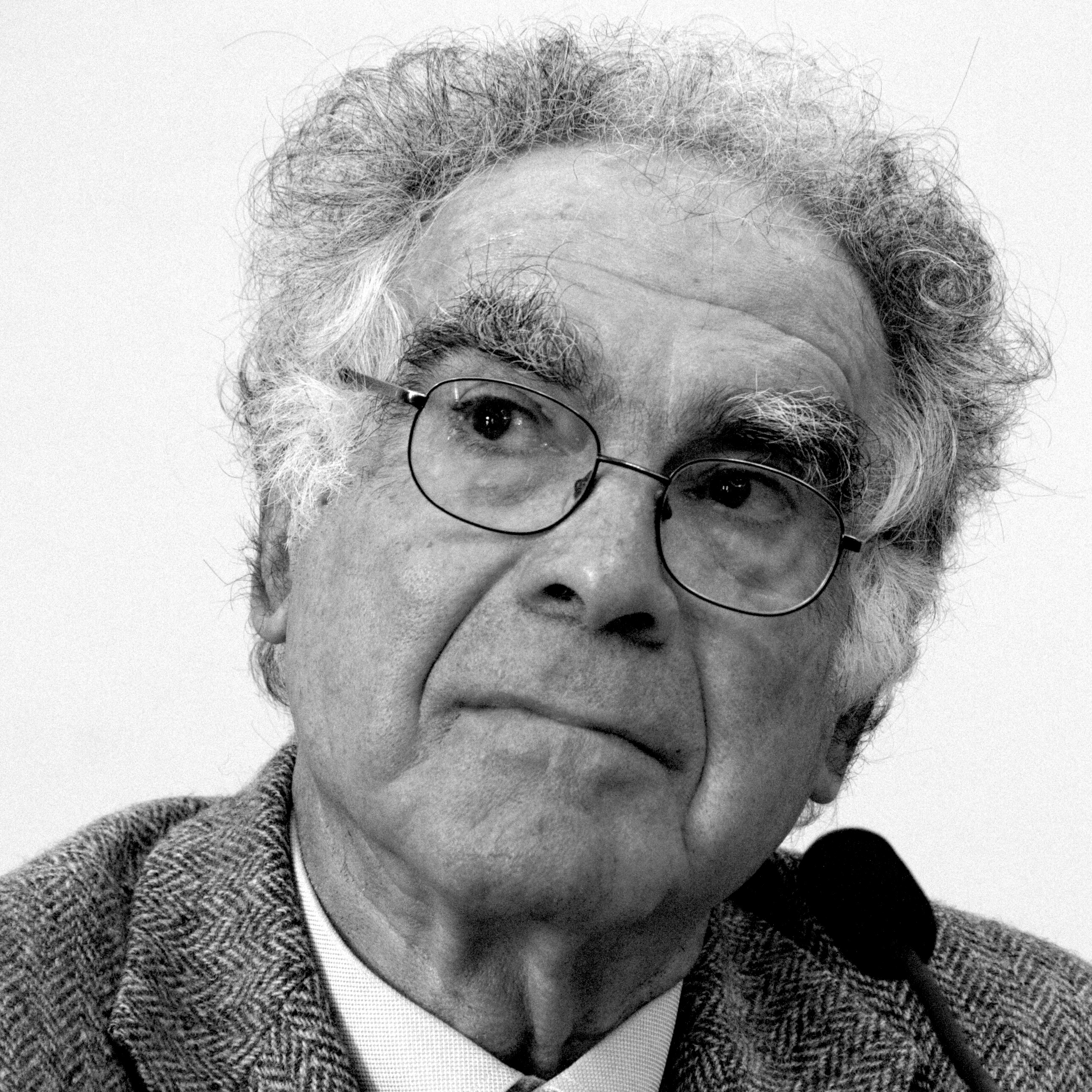 Wikipedia / Carlo Ginzburg (es)