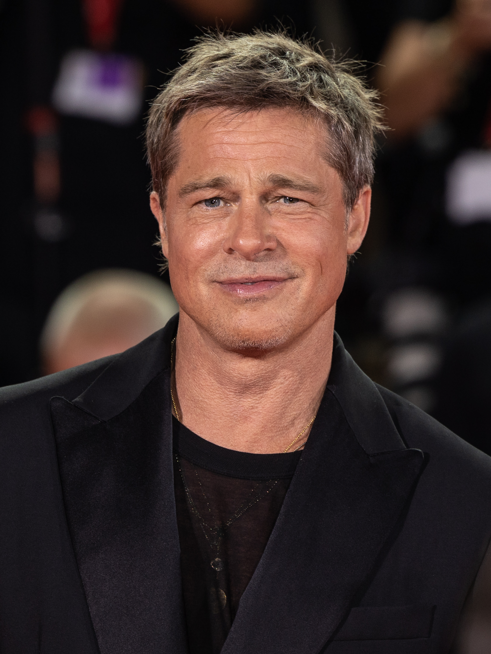 Wikipedia / Brad Pitt (es)