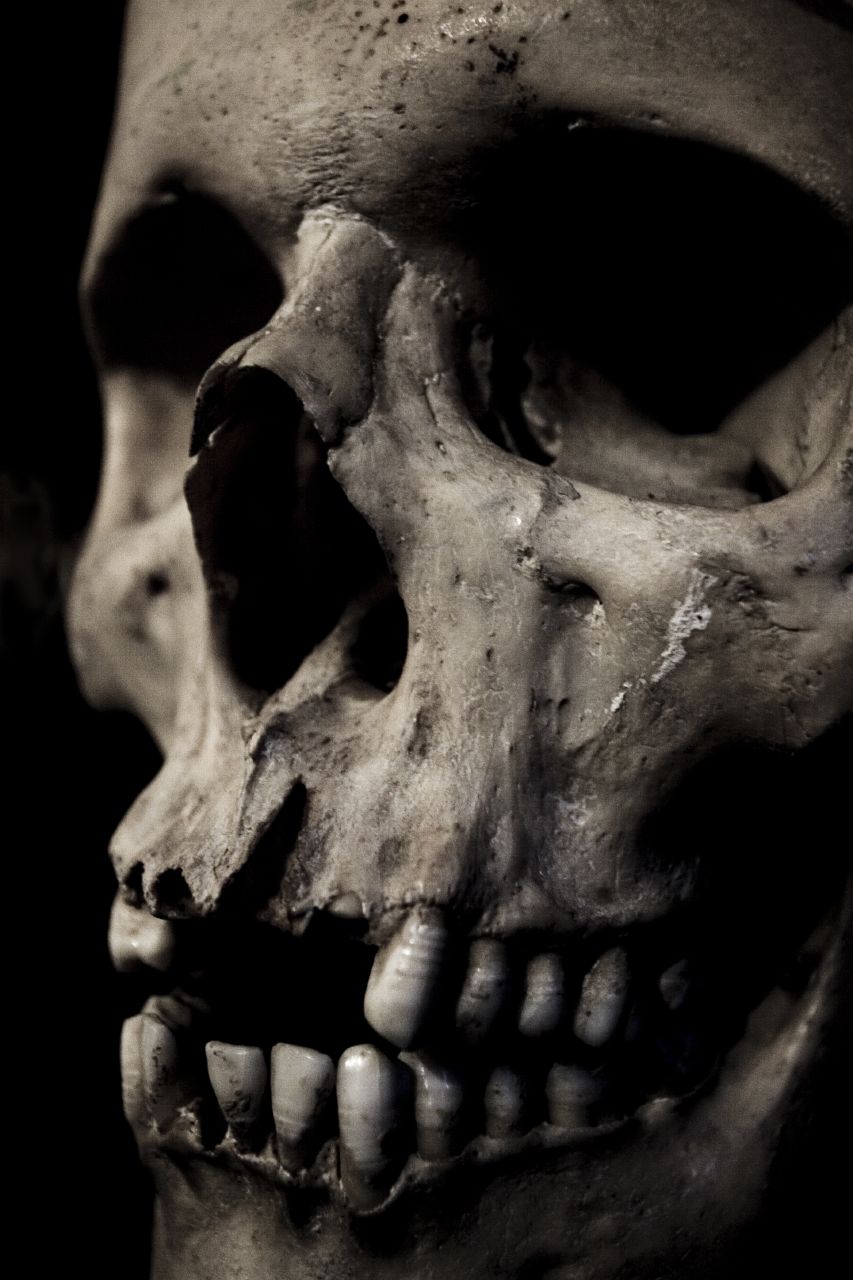 Wikipedia / Muerte (es)