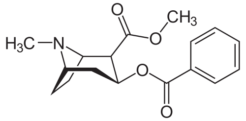 Wikipedia / Cocaína (es)