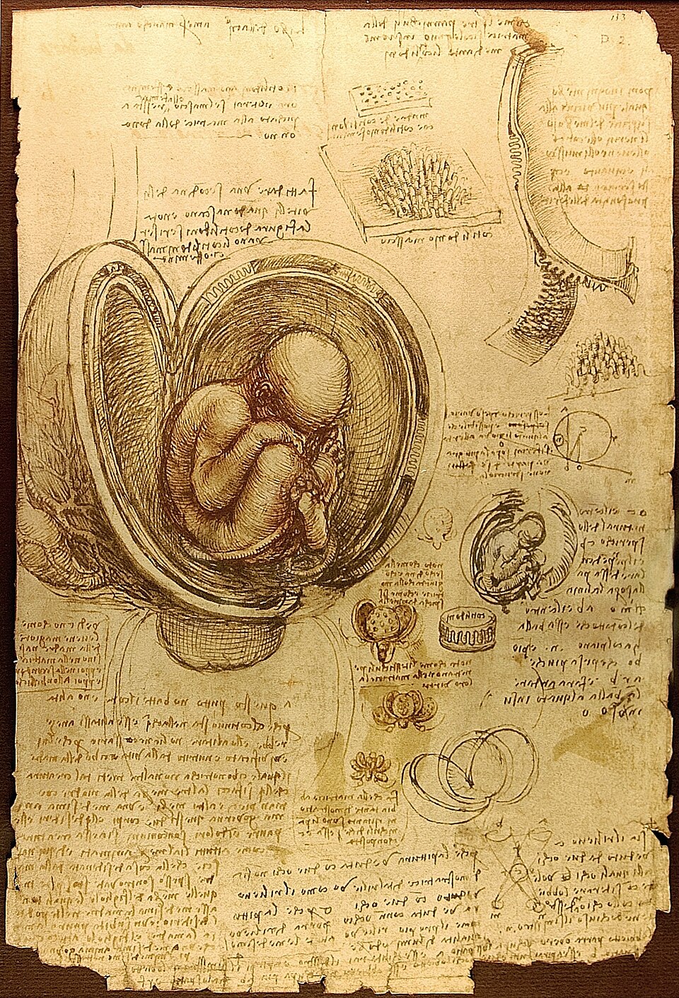 Leonardo da Vinci / Public domain (via Wikimedia Commons)