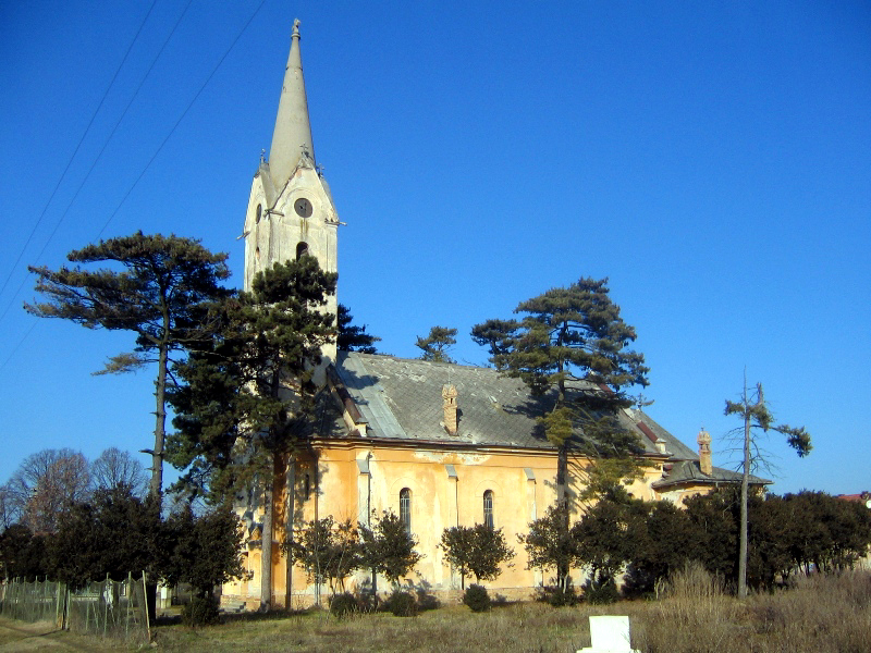 Wikipedia / Variaș (en)