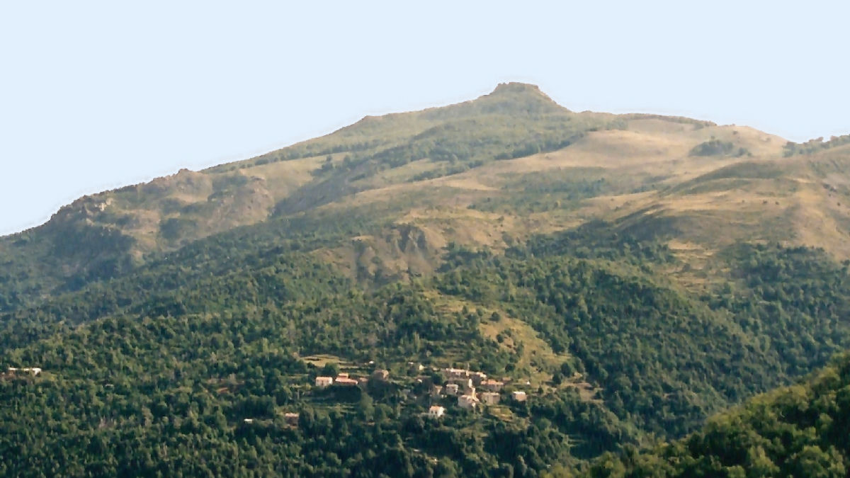 Wikipedia / Cambia (es)