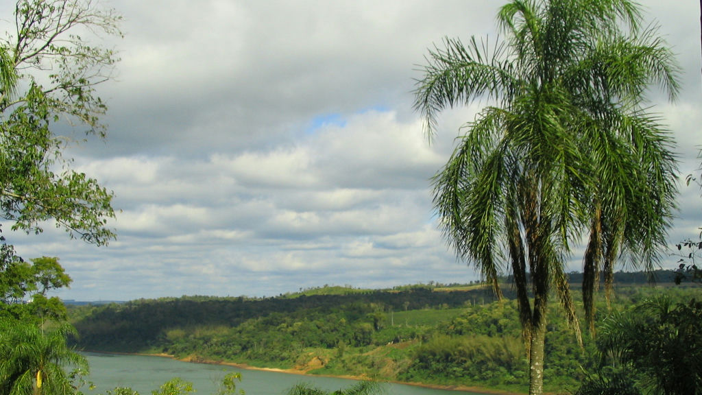 Wikipedia / Eldorado (Misiones) (es)