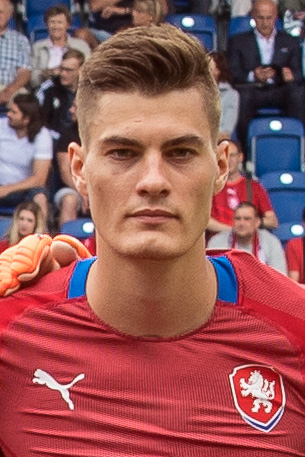 Wikipedia / Patrik Schick (es)