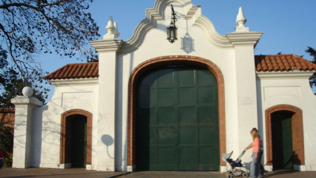 Wikipedia / Olivos (es)