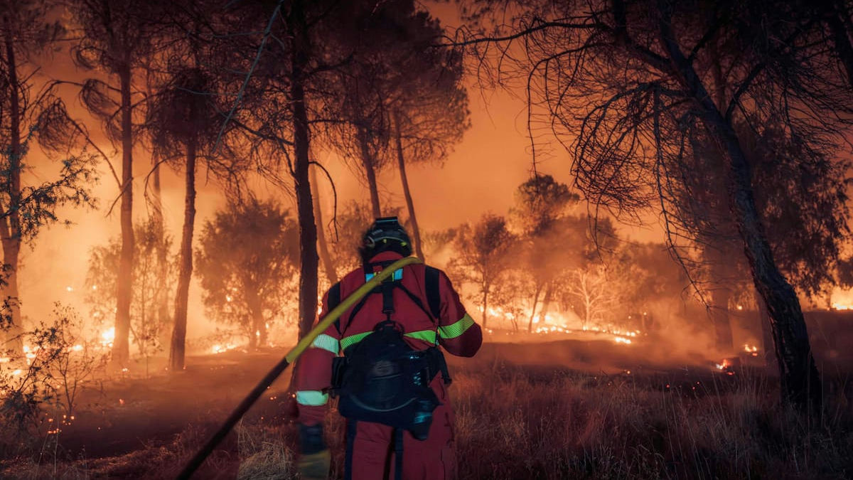 Foto: La Nación