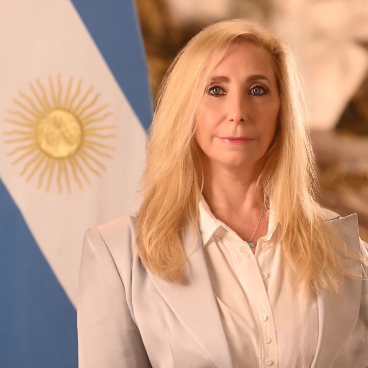 Wikipedia / Karina Milei (es)