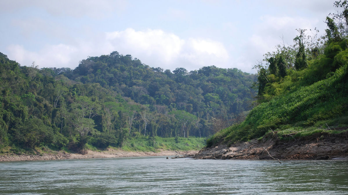 Wikipedia / Chiapas (en)