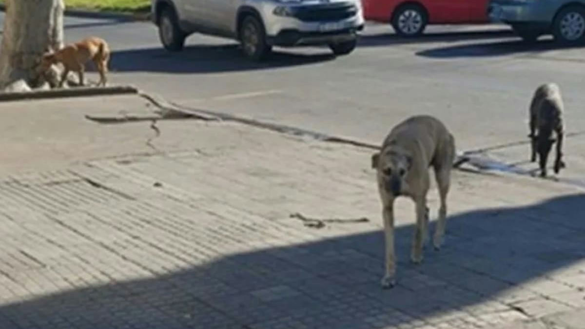 Foto: La Nación