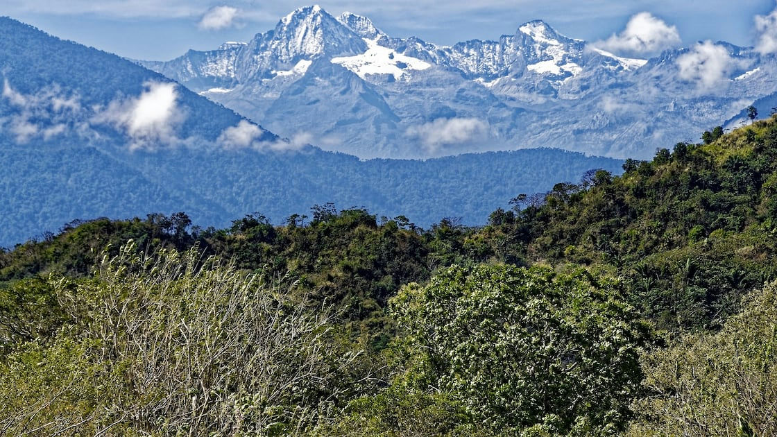 Foto: Página/12