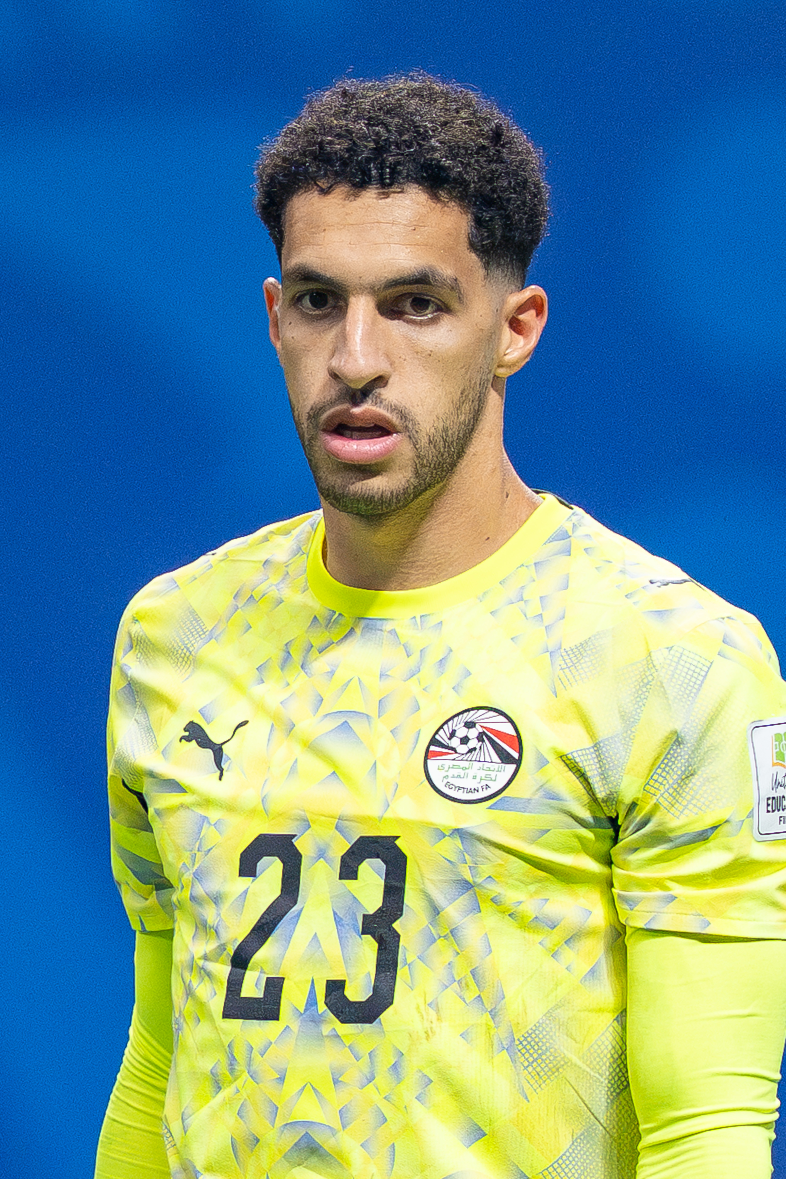 Wikipedia / Mostafa Shobeir (es)
