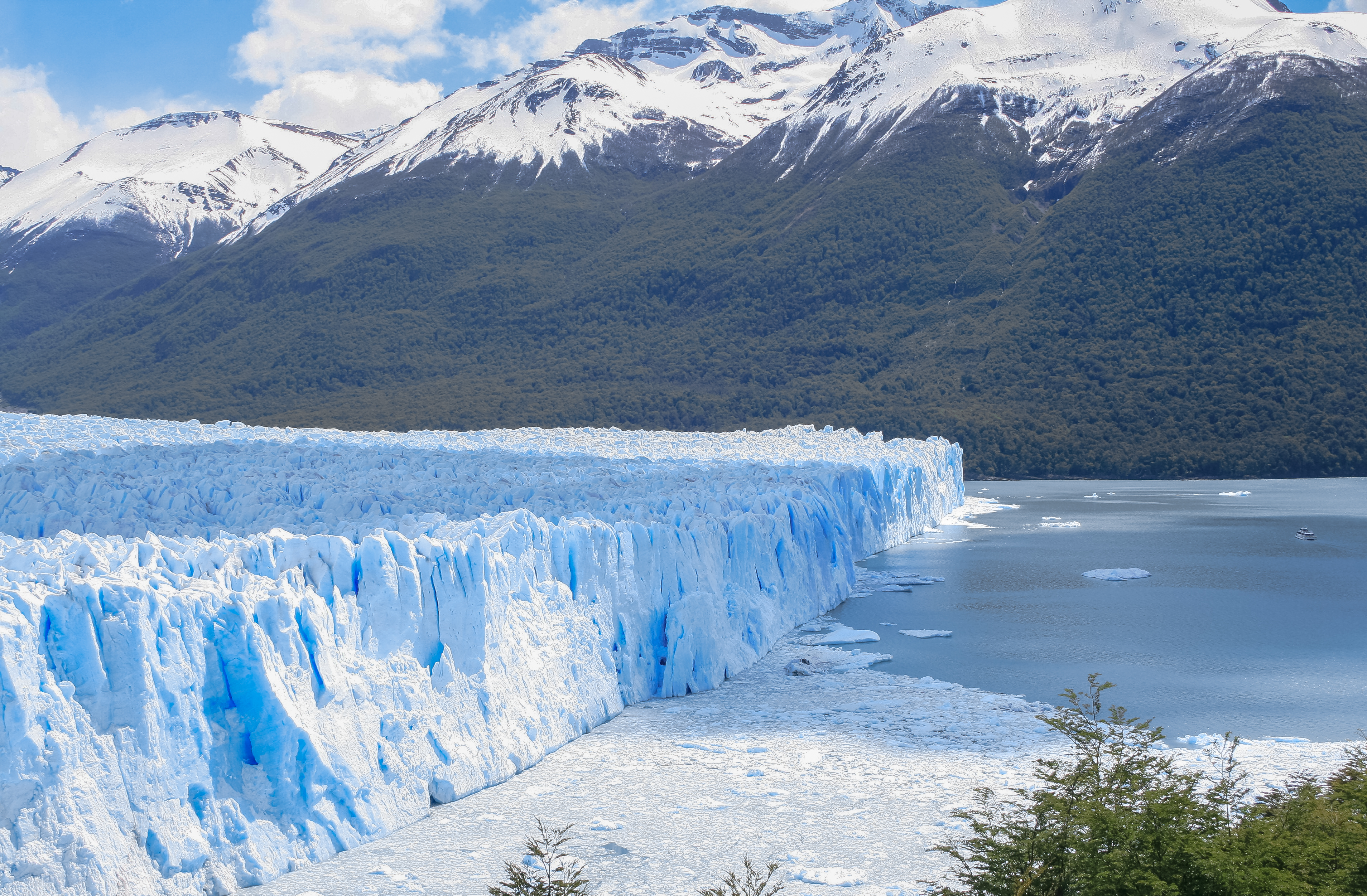 Wikipedia / Patagonia (es)