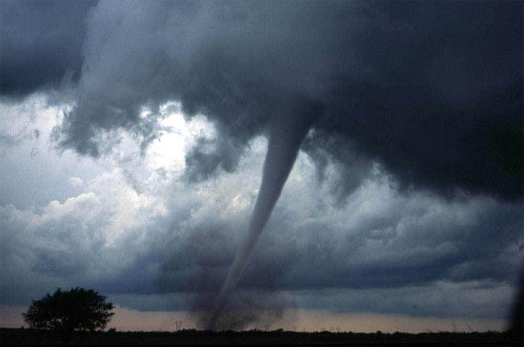 Wikipedia / Tornado (es)