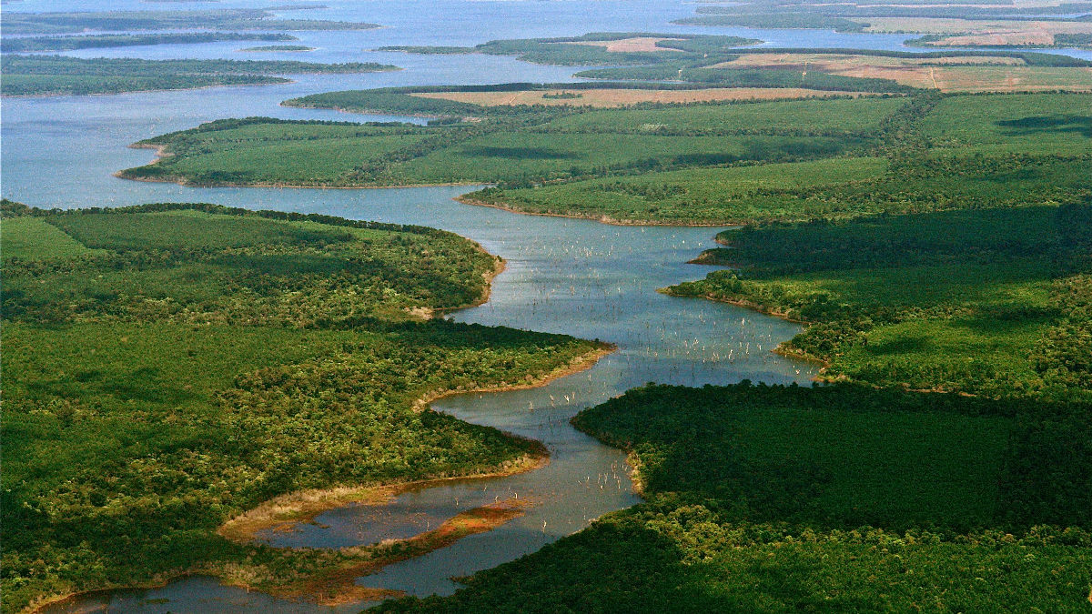 Wikipedia / Esteros del Iberá (es)