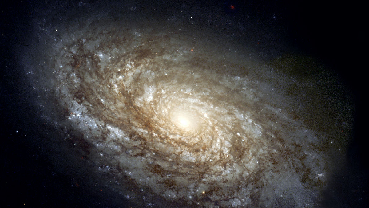 Wikipedia / Galaxy (en)