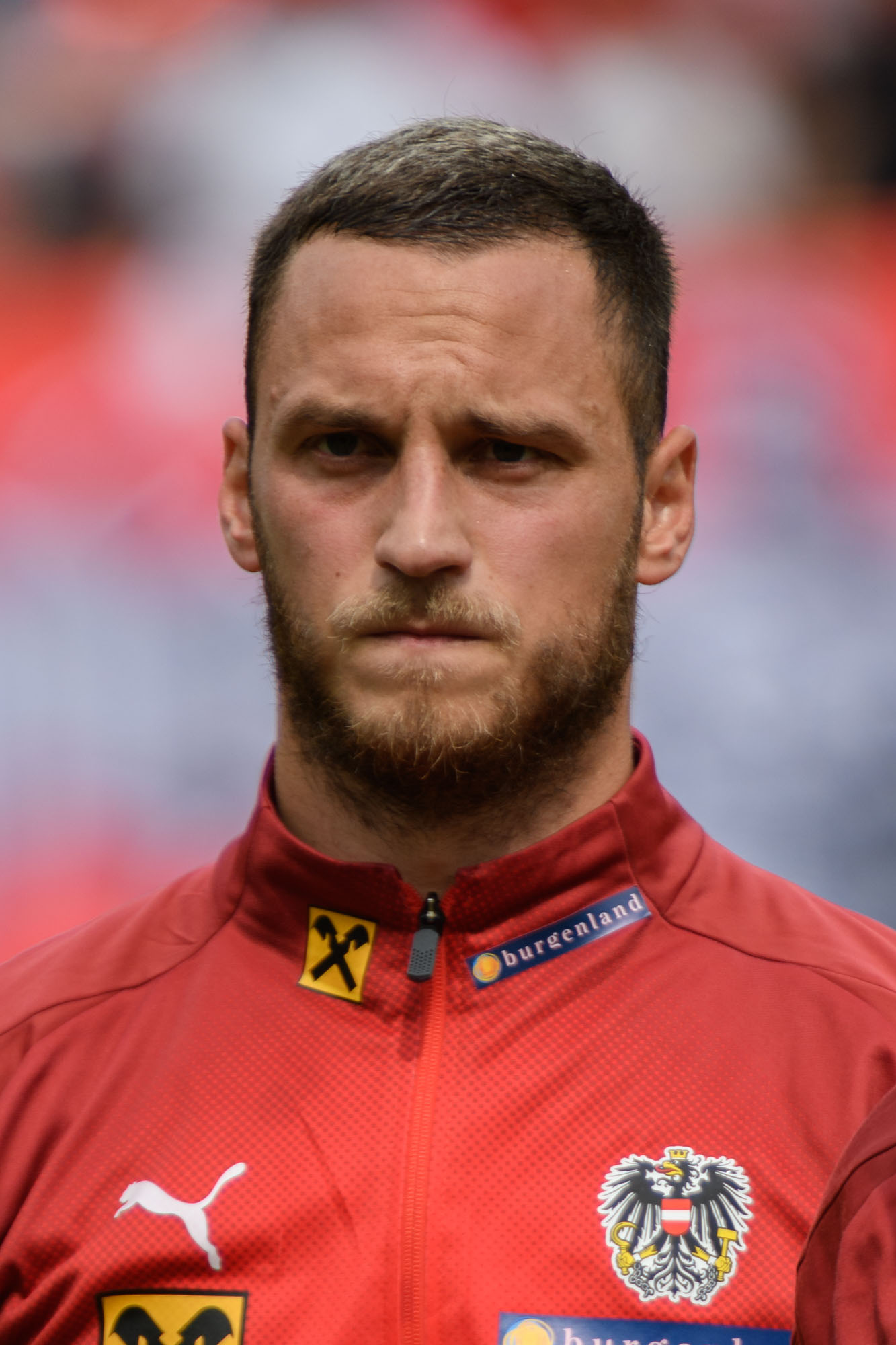 Wikipedia / Marko Arnautović (es)